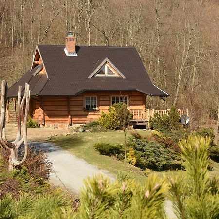 Lesne Uroczysko Villa Cisna Exterior photo