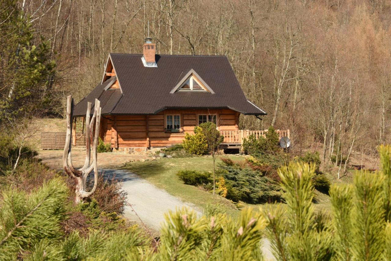 Lesne Uroczysko Villa Cisna Exterior photo
